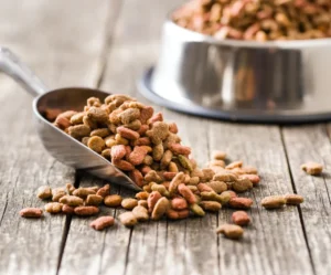 product-thumb-10_optimized Chicken and Egg Baked Dry Food
