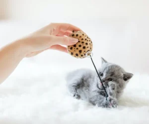 Leopard Print Teaser Wand for Cats