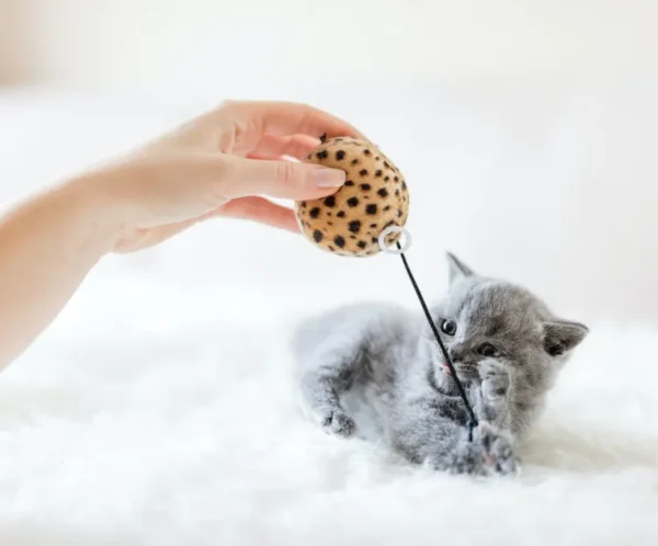 product-thumb-13_optimized Leopard Print Teaser Wand for Cats