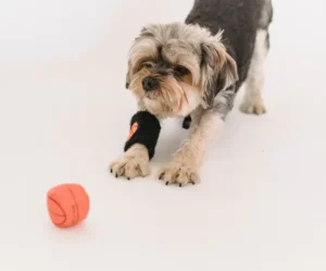 Mini Bounce Basketball Toy