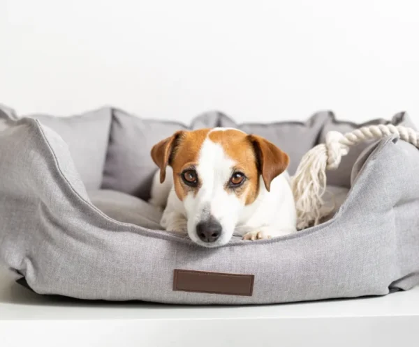 product-thumb-8_optimized Bolster Dog Bed