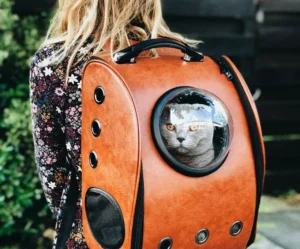 Pet Carriers