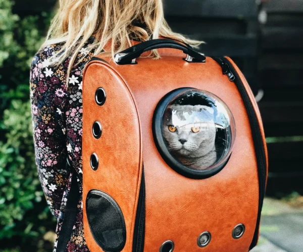 raoul-droog-Ea8rP2Ebp_4-unsplash_optimized Pet Carriers